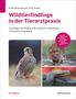 Katrin Baumgartner: Wildtierfindlinge in der Tierarztpraxis, Buch, Buch