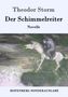 Theodor Storm: Der Schimmelreiter, Buch, Buch
