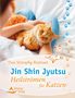 Tina Stümpfig-Rüdisser: Jin Shin Jyutsu, Buch, Buch