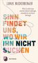 Lukas Niederberger: Sinn findet uns, wo wir ihn nicht suchen, Buch