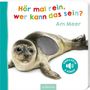 Hör mal rein, wer kann das sein? Am Meer, Buch