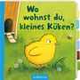 Wo wohnst du, kleines Küken?, Buch