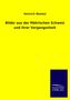 Heinrich Wankel: Bilder aus der Mährischen Schweiz und ihrer Vergangenheit, Buch