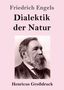 Friedrich Engels: Dialektik der Natur (Großdruck), Buch