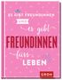 Es gibt Freundinnen. Und es gibt Freundinnen fürs Leben, Buch