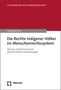 Jessika Eichler: Die Rechte indigener Völker im Menschenrechtssystem, Buch