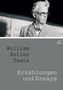 William Butler Yeats: Erzählungen und Essays, Buch