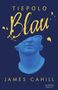 James Cahill: Tiepolo Blau, Buch