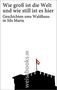 Wie groß ist die Welt und wie still ist es hier. Geschichten ums Waldhaus in Sils Maria, Buch