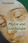 Paul Badde: Maria von Guadalupe, Buch