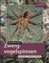 Hans-Werner Auer: Zwergvogelspinnen, Buch