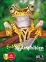 Kriton Kunz: Entdecke die Amphibien, Buch, Buch