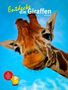 Vera Rduch: Entdecke die Giraffen, Buch, Buch