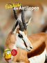 "Entdecke die Antilopen" und "Mit großem Antilopen-Quiz" sind die Haupttexte. Ein Antilopenkopf ist abgebildet., Buch