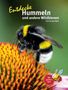"Entdecke Hummeln und andere Wildbienen" von Irmin & Inge Vogler; Illustration: Hummel auf Blüte, Biene mit "Mit großem Quiz"., Buch