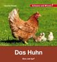 Veronika Straaß: Das Huhn, Buch