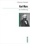 Christian Schmidt: Karl Marx zur Einführung, Buch