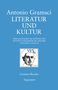 Antonio Gramsci: Literatur und Kultur, Buch