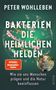 "Bakterien die heimlichen Helden", von Peter Wohlleben. Grüner Hintergrund mit bunten Bakterien in einem Petri-Teller., Buch