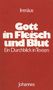 Irenäus von Lyon: Gott in Fleisch und Blut, Buch, Buch