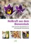Almut Tobis: Heilkraft aus dem Bienenstock, Buch, Buch