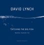 David Lynch: Catching the Big Fish, Buch