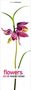 Richard Fischer: Flowers 2023, Kalender