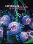 Katharina Stein: Experience & Event Design 2025/2026, Buch