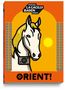 Lois Lammerhuber: Orient!, Buch