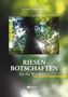 Volker Sehorst: Riesen, Buch