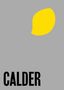 Susan Brauer Dam: Alexander Calder: From the Stony River to the Sky, Buch