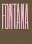 Lucio Fontana: Lucio Fontana. Sculpture, Buch