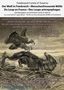 Ferdinand Charles Philippe Comte de Esterno: Der Wolf in Frankreich - Du Loup en France, Buch