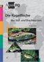 Klaus Ebert: Die Kugelfische des Süß- und Brackwassers, Buch