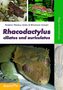 Friedrich-Wilhelm Henkel: Rhacodactylus ciliatus und auriculatus, Buch