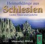 „Heimatklänge aus Schlesien: Lieder, Tänze und Gedichte.“ Bild zeigt Felsenlandschaft im Hintergrund, Logo unten rechts.