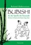 Roland Habersetzer: Bubishi, Buch