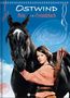 Ostwind - Mein Freundebuch, Buch