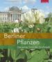 Titel: "Berliner Pflanzen. Das wilde Grün der Großstadt". Im Vordergrund Kleeblüten, im Hintergrund der Reichstag.