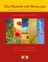 Sakina K. Sievers: Das Wunder der Wandlung, Buch