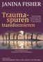 Janina Fisher: Traumaspuren transformieren, Buch