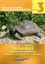 Thorsten Geier: Freigehege für Europäische Landschildkröten, Buch