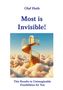 Olaf Huth: Most is Invisible!, Buch