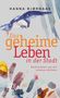 Hanna Bjørgaas: Das geheime Leben in der Stadt, Buch