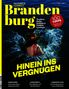 Brandenburg 2025, Buch