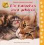 Heiderose Fischer-Nagel: Ein Kätzchen wird geboren, Buch