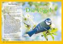 Text: „Natur-Kamishibai“, „Die Vögel“. Illustration: Ein Vogel sitzt auf einem Ast mit weißen Blüten vor verschwommenem Hintergrund., Buch