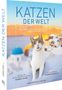 Titel: "KATZEN DER WELT". Eine Katze sitzt in einer sonnigen, mediterranen Stadt mit blauen Kuppeln.