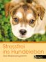 Leslie McDevitt: Stressfrei ins Hundeleben, Buch