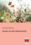 Christian Brüning: Wunder aus dem Pflanzenreiche, Buch
